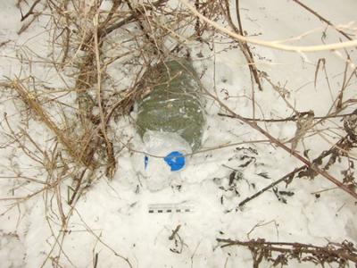 Два рязанца уличены в сбыте марихуаны