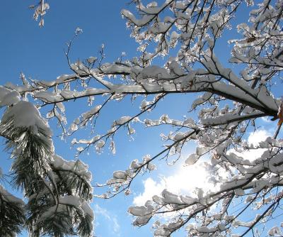Рязанцам сообщают о потеплении