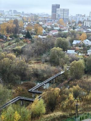 Фото: пользователь телеграм Наташа Киселева