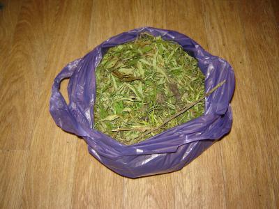 У жителя Сараевского района отобрали свыше двух килограммов марихуаны