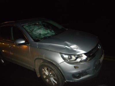 Близ Рыбного иномарка сбила пешехода-нарушителя