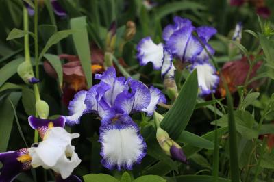 Рязанцев приглашают посетить биостанцию РГУ