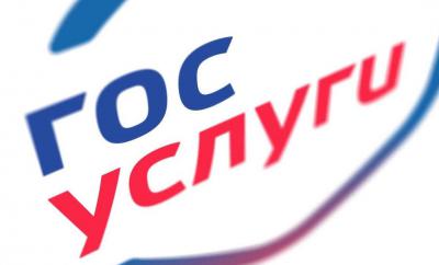 Рязанцы смогут посмотреть «Электронный дневник» через портал госуслуг