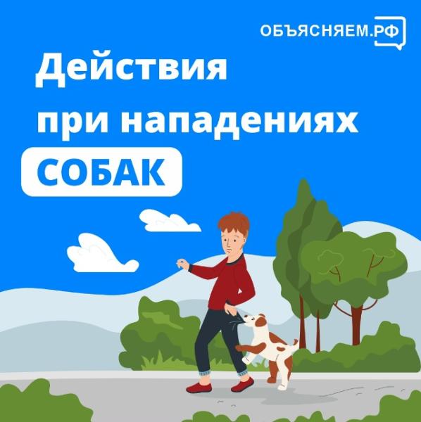 Рязанцам объяснили, как себя вести при нападении собак
