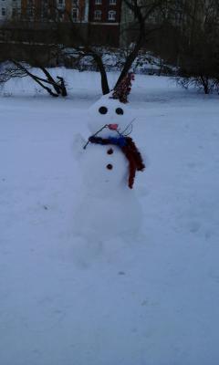 Снеговики Рязани собрались на Лыбедском бульваре