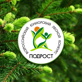 Рязанская школьница заняла второе место на Всероссийском лесном конкурсе «Подрост»