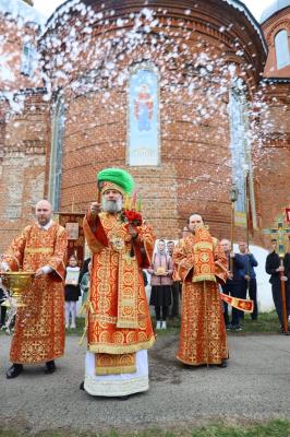 Рязанский епископ Питирим назвал врачей и женщин, делающих аборты, палачами и серийными убийцами