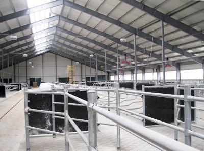 В Рязанской области скоро появится вторая роботизированная молочная ферма