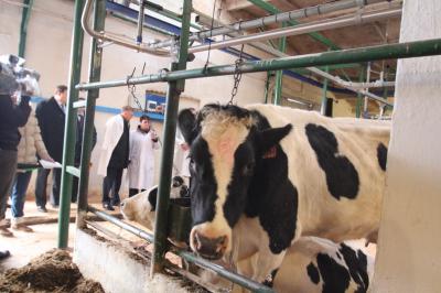 Деревня Кольдюки Касимовского района обретёт интернет