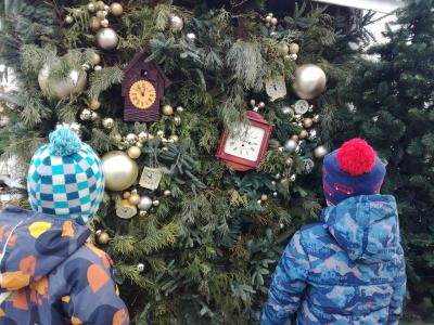 Для новогодних праздников в лесничествах Рязанской области заготовят ели и сосны