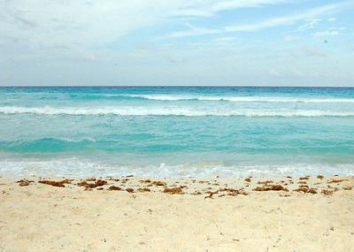 Рязанцы поехали отдыхать в Египет и Турцию