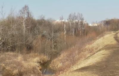 Река Лыбедь в Рязани оказалась местами замусоренной