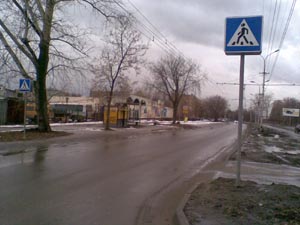 В Рязани объявили охоту на зебр