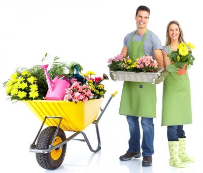 Рязанцы отведают мёда и яблок