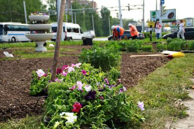 Рязань зацветает