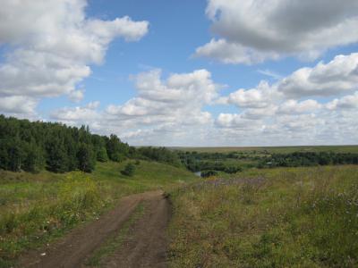В Рязанской области меняют предельные размеры участков для фермеров