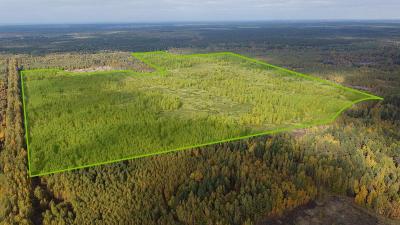 Под Рязанью возведут более 80 тысяч квадратных метров малоэтажного жилья