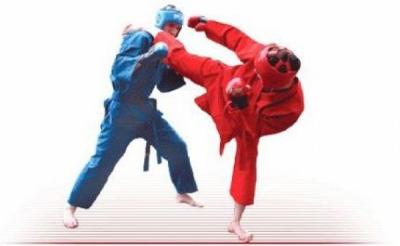 Рязанские спортсмены завоевали 16 наград первенства мира по универсальному бою