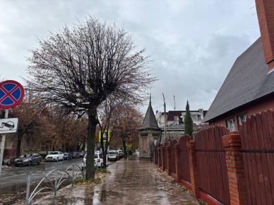 На Рязанщине ожидаются мокрый снег и дождь