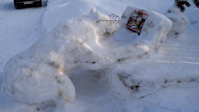 В Спасске обнаружили читающего медведя