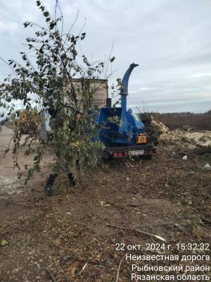 В Рыбном ликвидируют свалки древесных отходов