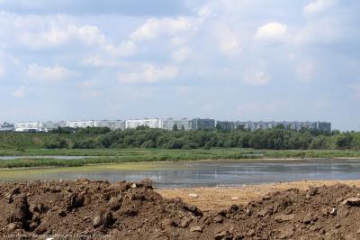 В райсуде Рязани продолжился спор о статусе «Дикой утки»