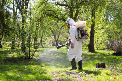 Парки Рязани обработают от клещей
