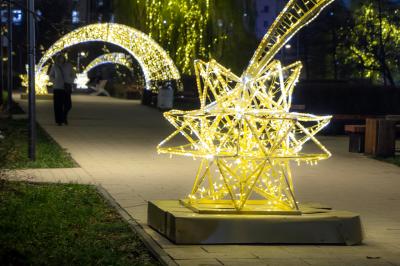 В Рязани подключают новогоднюю иллюминацию