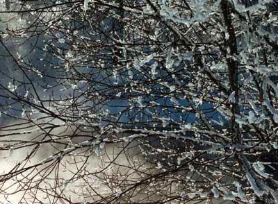 Рязанцам пообещали небольшой снег и гололедицу