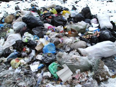 Рязанские лесничие убрали свалки бытовых и строительных отходов