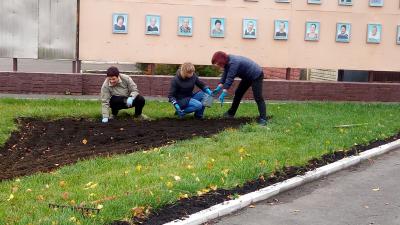 К будущей весне в Александро-Невском расцветут тюльпаны