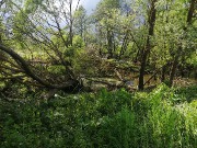 IMG_20200604_171708.jpg title=