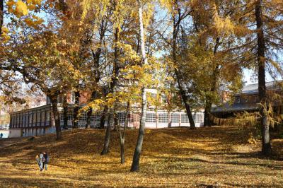 Елена Сорокина лично поучаствует в первом общегородском субботнике