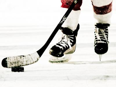 В Рязани появится частный ледовый дворец