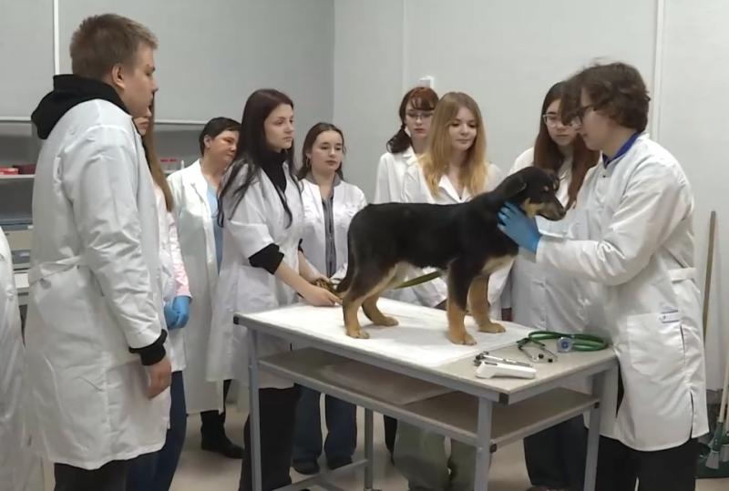 В Варских под Рязанью откроют ветклинику и ветаптеку