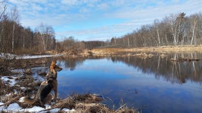 Уровень весеннего подъёма воды в Пре стал самым низким за всю историю наблюдений
