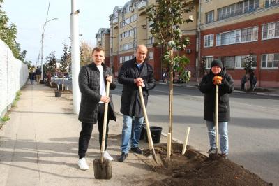 На двух улицах в центре Рязани высадили деревья