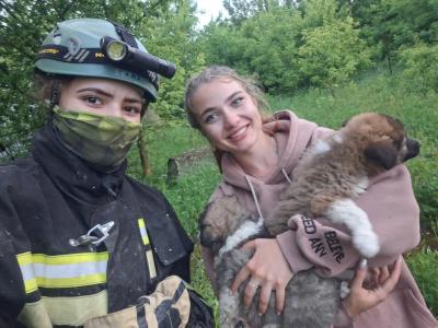 Под Рязанью волонтёры спасли щенка, провалившегося в поддув печи