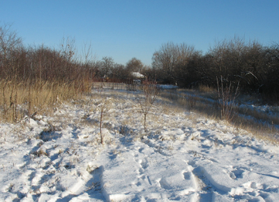 Многодетные рязанцы чаще всего продают полученные от властей земельные участки