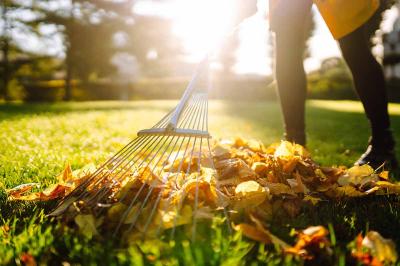 Жители Рязани могут присоединиться к Всероссийскому субботнику