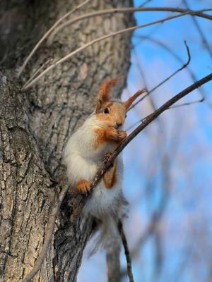 В рязанском регионе днём потеплеет до минус 1 градуса
