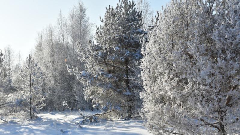 Ермишинский и Кадомский округа накрыли сильнейшие морозы