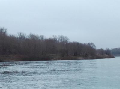 В Рязанской области в феврале зафиксировано четыре случая загрязнения рек