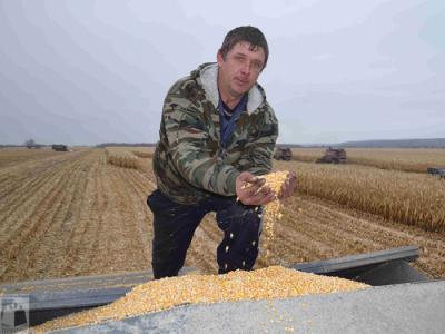 Сапожковские аграрии бьют рекорды