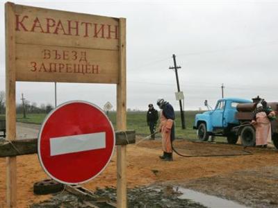 В селе Истье Старожиловского района отменён карантин по бешенству животных