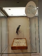 1000053326.jpg title=