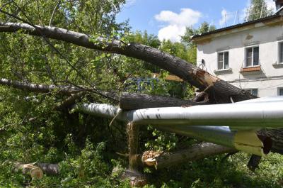 В Скопине сильный ветер повалил деревья на теплотрассу и линию связи