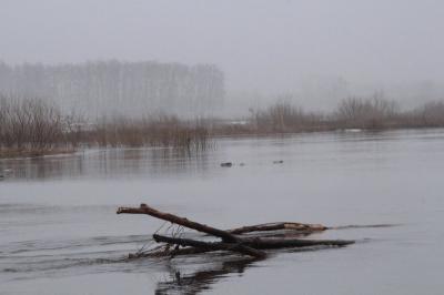 Уровень воды в Оке в районе Рязани понизился до 22 сантиметров