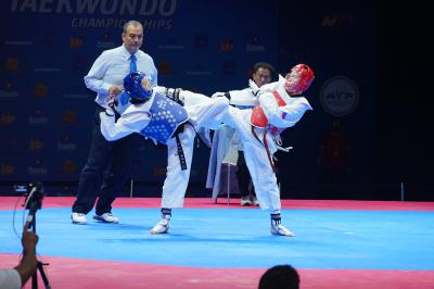 В Рязани пройдут Всероссийские соревнования по тхэквондо (ВТФ) «Кубок Рязанского кремля»