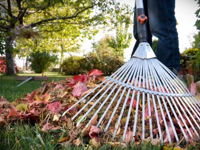 В Шиловском районе открылся обновлённый парк Победы